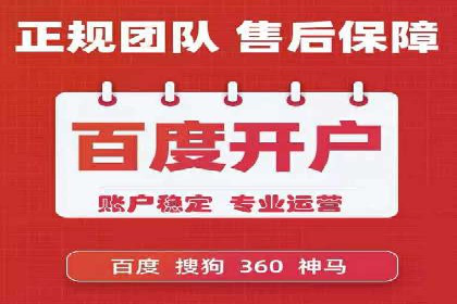专业SEM托管助力企业快速成长案例分析